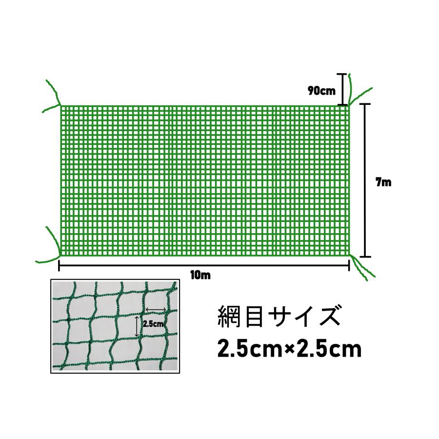 養生グリーンネット 7M×10M 25mm目 多目的に使える養生ネット | ブランド登録なし | 02