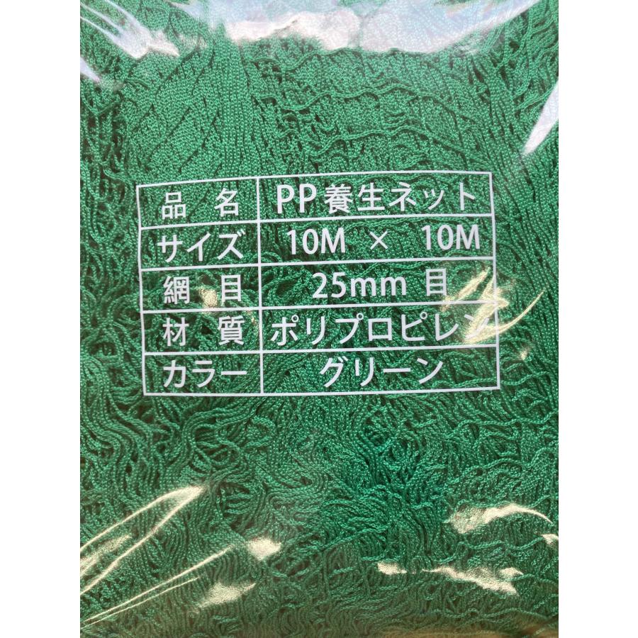 養生グリーンネット 10M×10M 25mm目 多目的に使える養生ネット | ブランド登録なし | 02