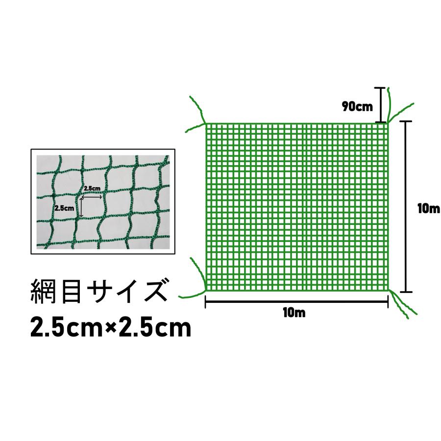 養生グリーンネット 10M×10M 25mm目 多目的に使える養生ネット | ブランド登録なし | 03