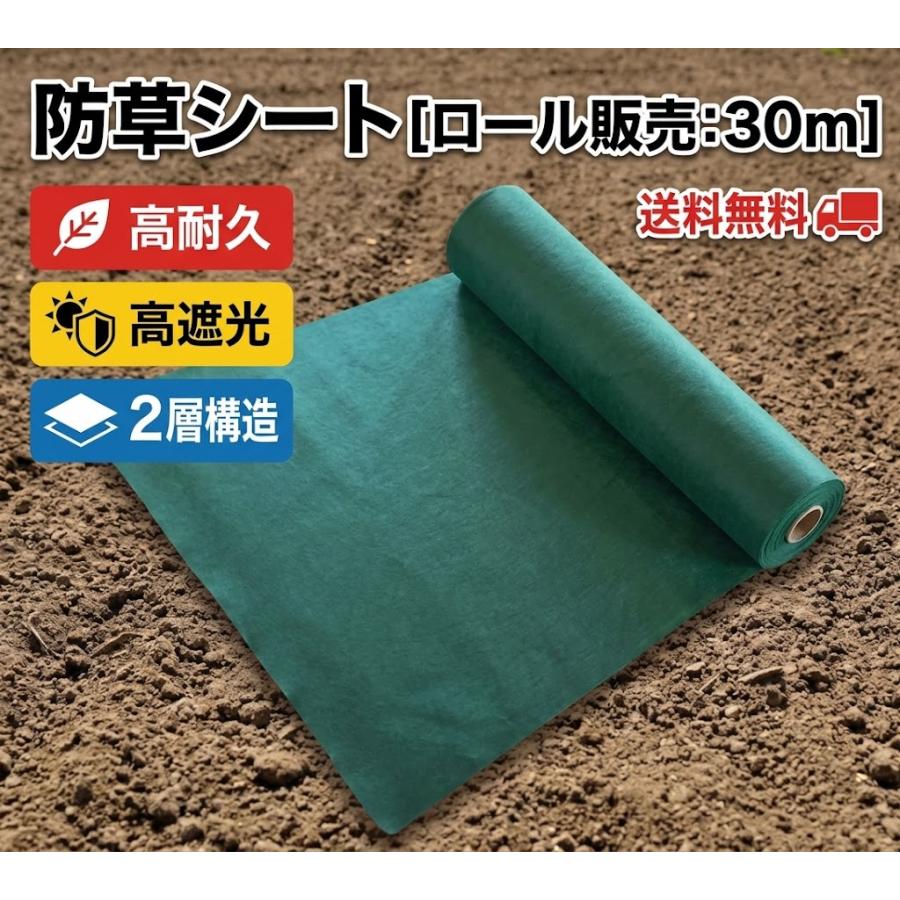 高耐久 雑草対策 雑草防止 防草シート 除草シート 雑草シート [ロール 