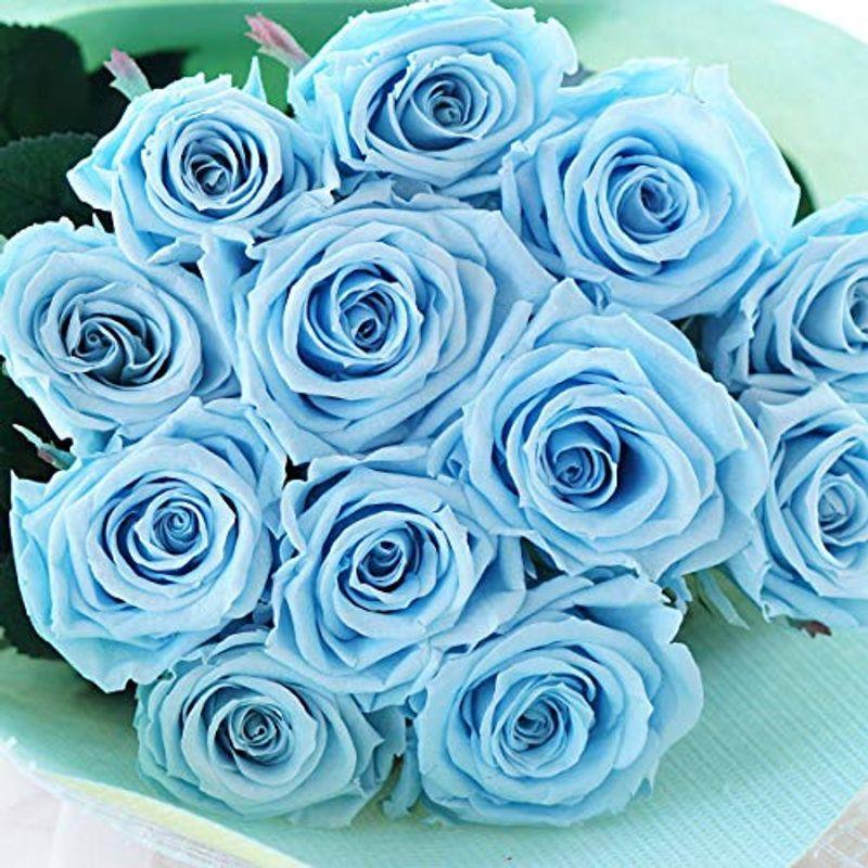 販売安い 順 花 まりか プリザーブドフラワー プロポーズ ダーズンローズ 12本 バラ 花束 ブルー 激安買取 東京 Menu Thewhitebtq Com