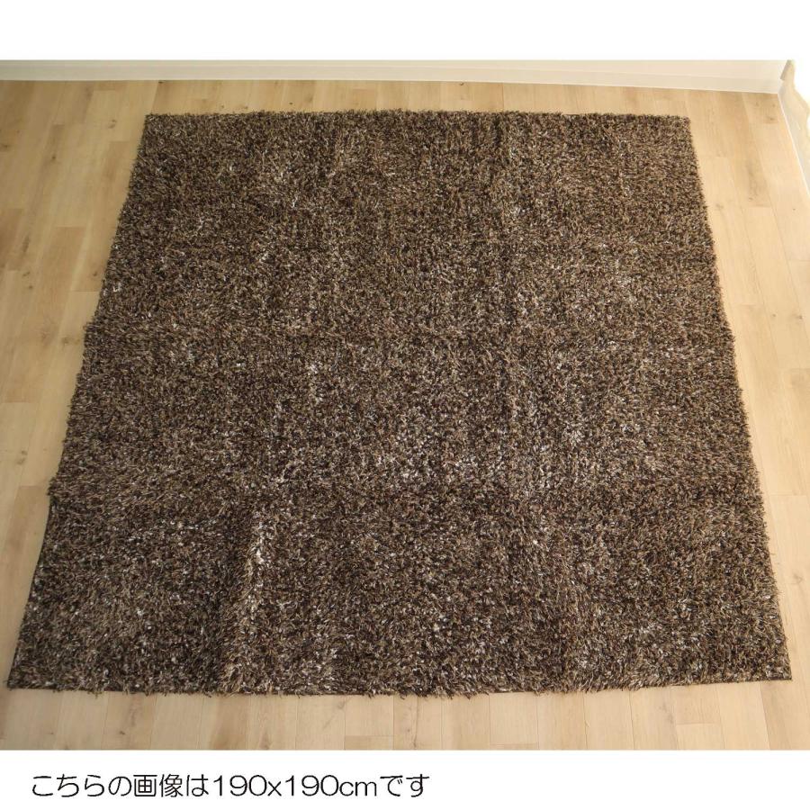 【発送地域限定】 日本製 190ｘ240 洗える 通常25000円在庫処分の為大特価 ラグ 抗菌防臭防ダニ加工 シャギーラグ 新生活 床暖房対応 |  | 01