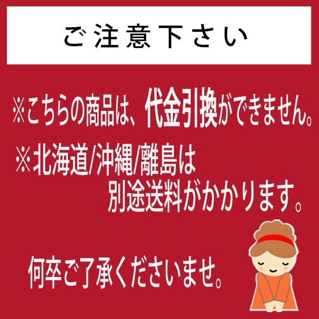 日本製 座椅子 汚れに強い 合成皮革 コンパクト リクライニング 耐荷重