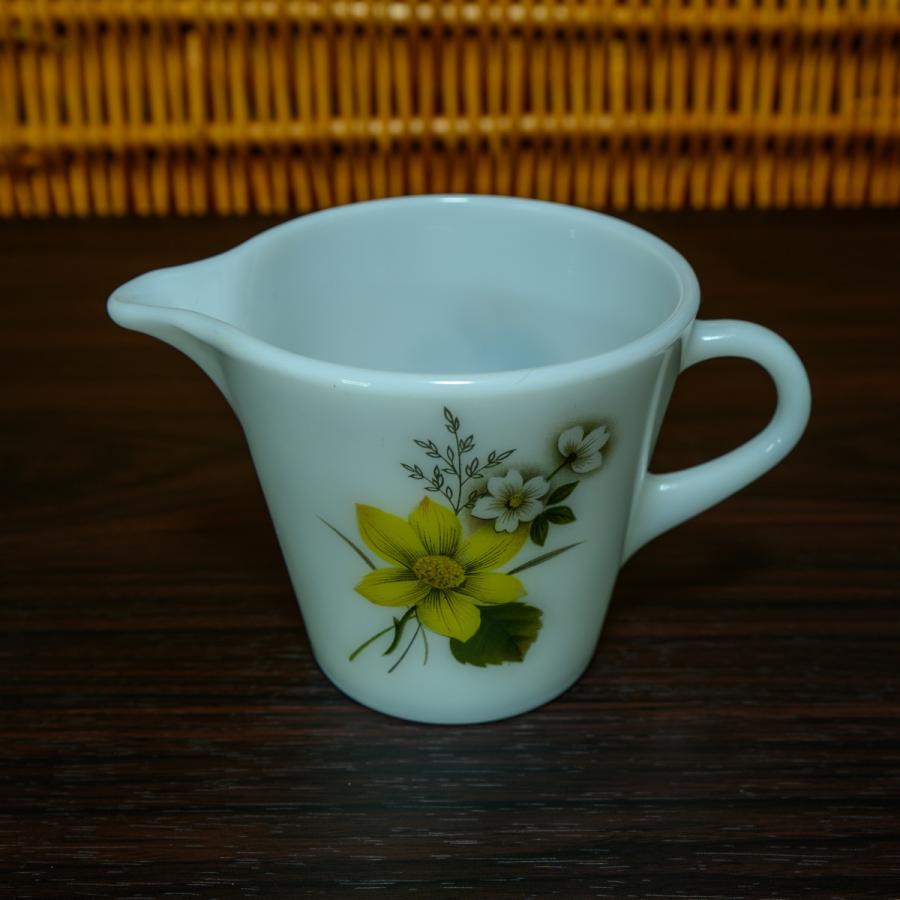 JAJパイレックス オータムグローリーシリーズ ディナープレート 6枚