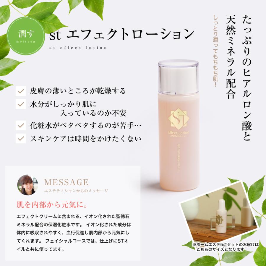 化粧水 STエフェクトローション120ml 保湿化粧水 保湿ローション