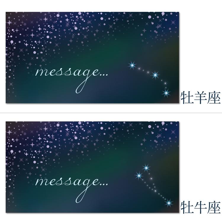 表札 12星座 誕生日 記念日 メッセージ プレゼント おしゃれ ステンレス オフィス 卓上 ポスト カフェ 戸建て 取り付け 150mm×80mm 北欧 シール付き マンション | ブランド登録なし | 02