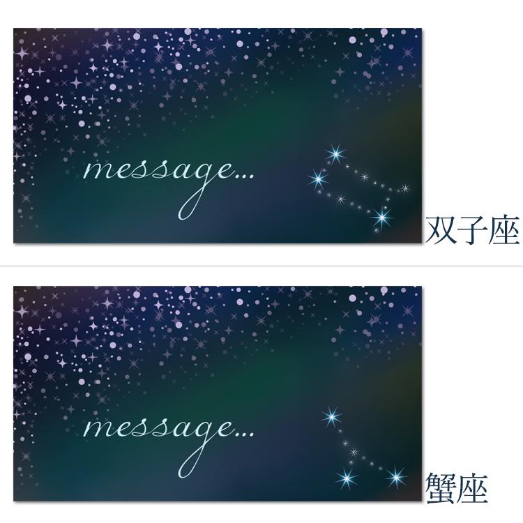 表札 12星座 誕生日 記念日 メッセージ プレゼント おしゃれ ステンレス オフィス 卓上 ポスト カフェ 戸建て 取り付け 150mm×80mm 北欧 シール付き マンション | ブランド登録なし | 03