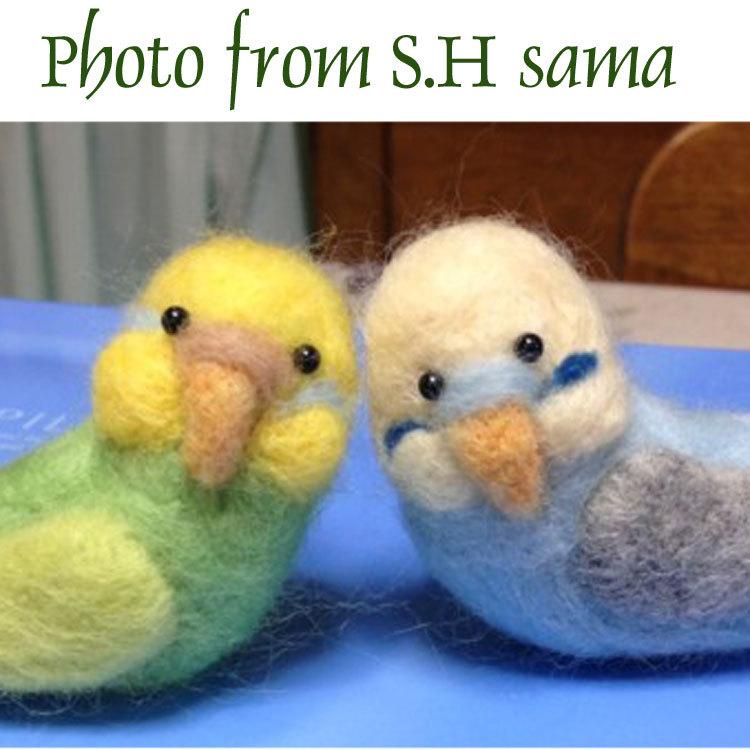 セキセイインコ 手作りキット 羊毛フェルト 小鳥 ぬいぐるみ フェルト