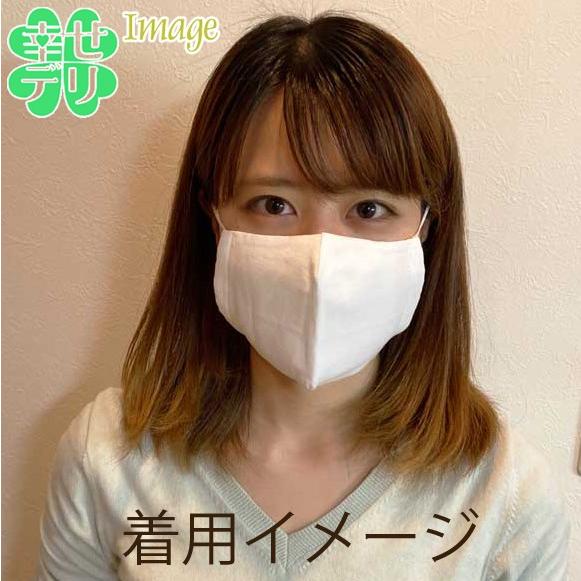 夏も快適 さらしマスク 白 ふつうサイズ つけ心地の良い晒を使用 大人