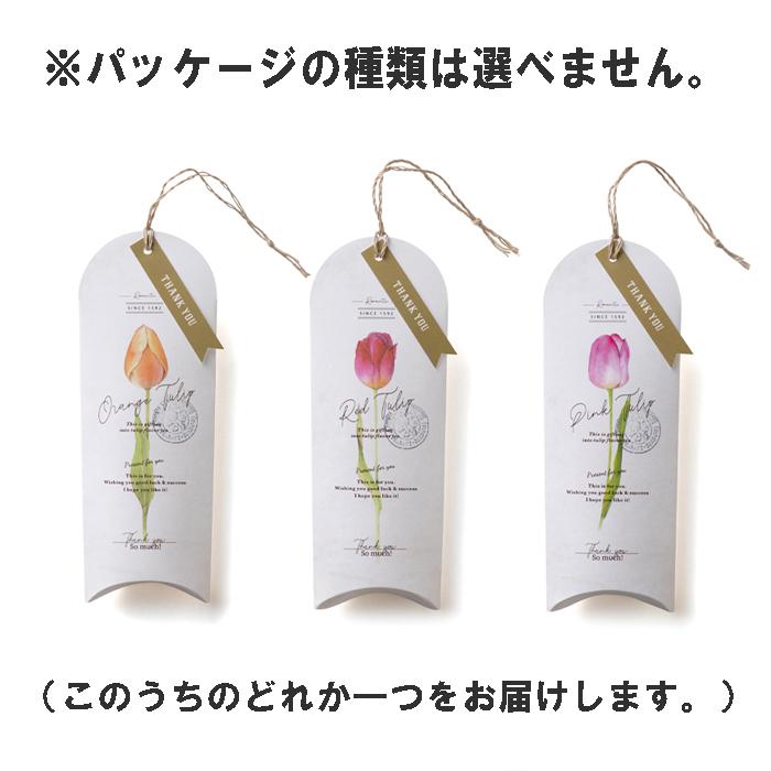 チューリップの絵柄 プチギフト どれか1個 ハートクッキー2枚＆神戸