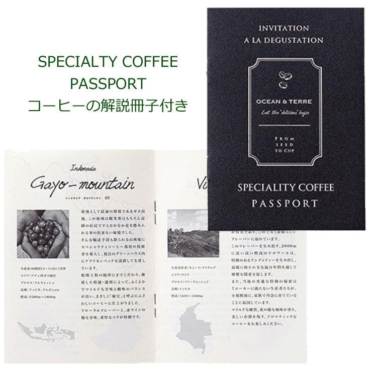 Speciality ドリップコーヒー 8種類のギフトB（ミャンマー、ブラジル