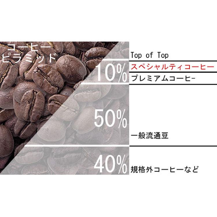 Speciality ドリップコーヒー 8種類のギフトB（ミャンマー、ブラジル