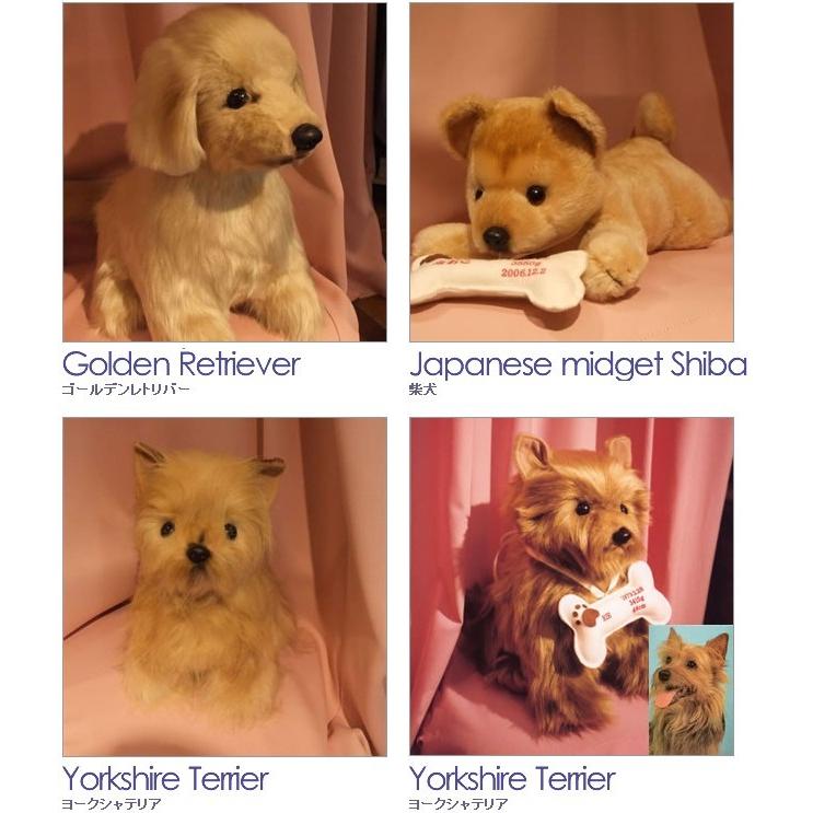 オリジナルウェイトドール １体 フルオーダーメイド体重ドッグ キャット オリジナルぬいぐるみ 愛犬 愛猫の思い出 Ph Okini Wd2 幸せデリバリー 通販 Yahoo ショッピング