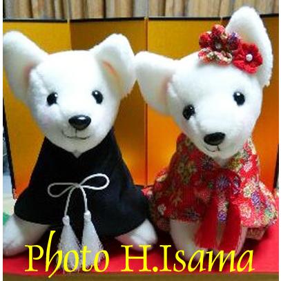 和装のウェルカムドッグ手作りキット ボア生地カット済み 結婚式 和風ウェルカムドール 犬 いぬ 金屏風 毛氈はついておりません Sk 11 幸せデリバリー 通販 Yahoo ショッピング