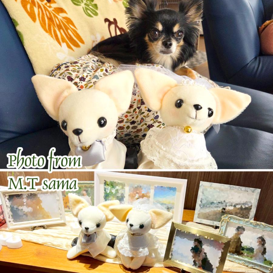 C*o様 作家さん　チワワ ぬいぐるみ 水色ドレス付き 洋装チワワのウェルカムドッグ手作りキット 結婚式のウェルカムドール