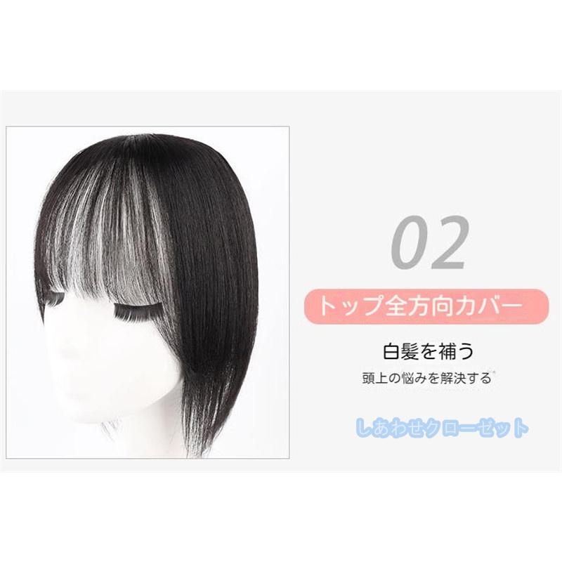 部分ウィッグ 人毛100％ ウィッグミディアム レディース 自然