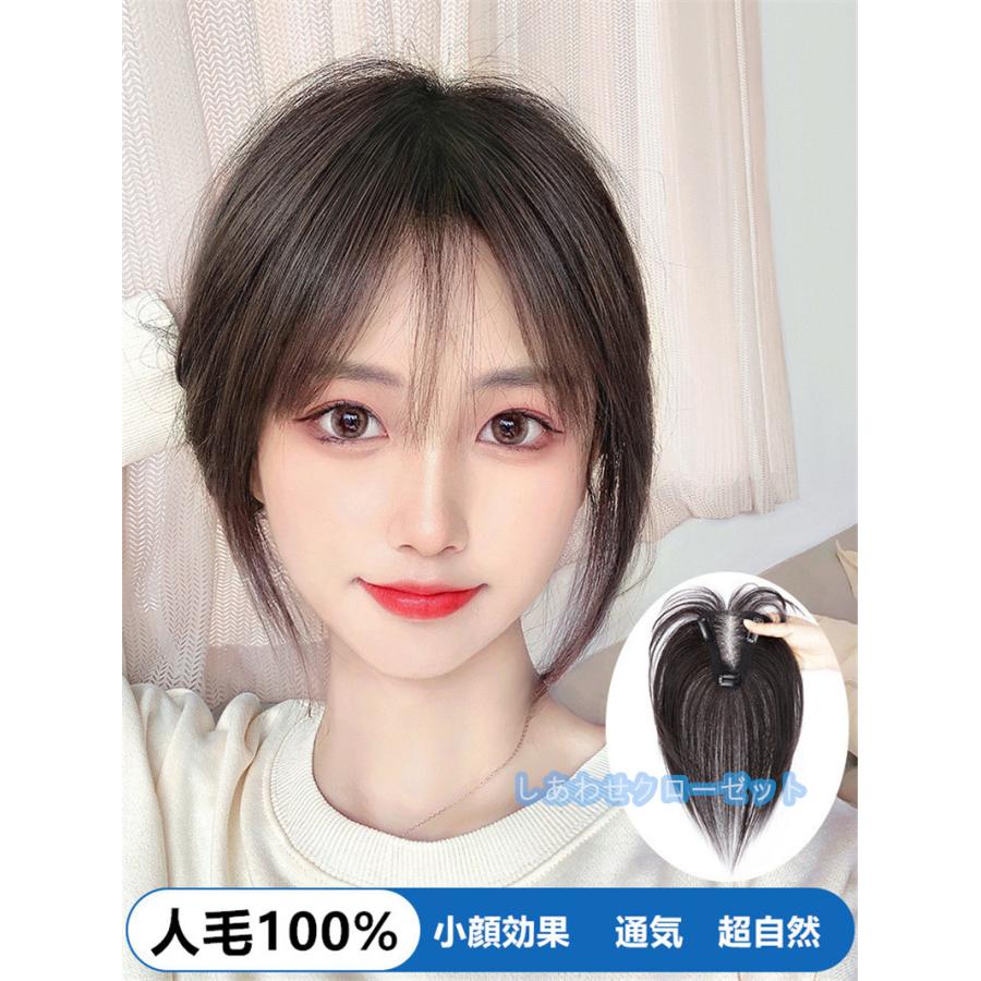 部分ウィッグ 人毛100% ウィッグ レディース 自然 トップピース 部分ウィッグ 人毛100% ウィッグ レディース 自然 トップピース
