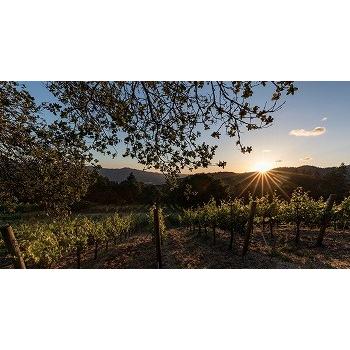 ワイン 赤ワイン ナパバレー ナパヴァレー レイル　”ジョン・ダニエル・キュヴェ”　カベルネソーヴィニヨン　[2014] ダニエル