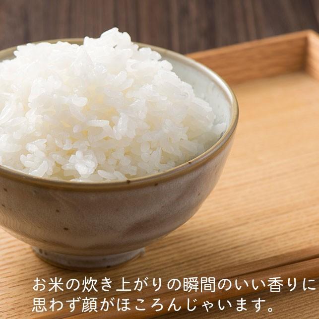 三ツ谷電機 炊飯器 3合炊き 一人暮らし マイコン炊飯器 炊飯 三ツ谷電機 炊飯器 3合炊き 一人暮らし マイコン炊飯器 炊飯