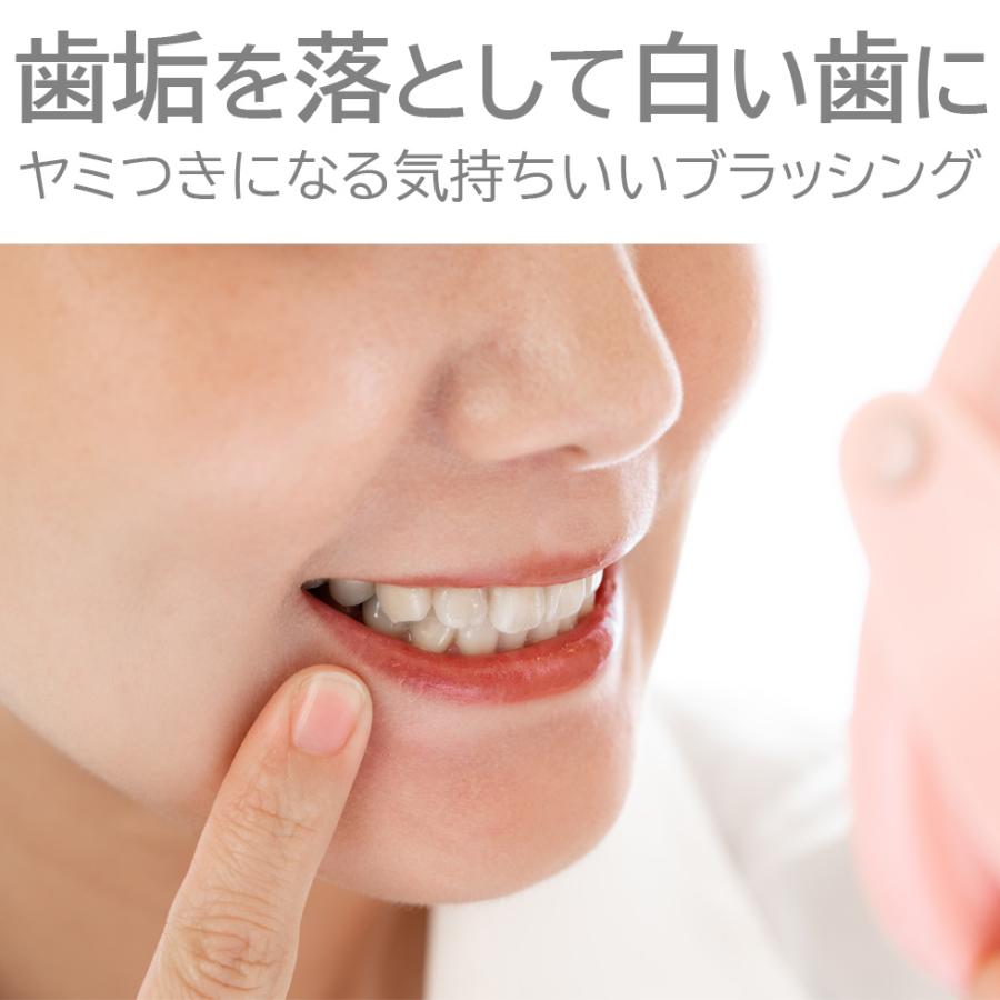 携帯歯ブラシ 携帯用電動歯ブラシ 音波歯ブラシ ポケットソニック