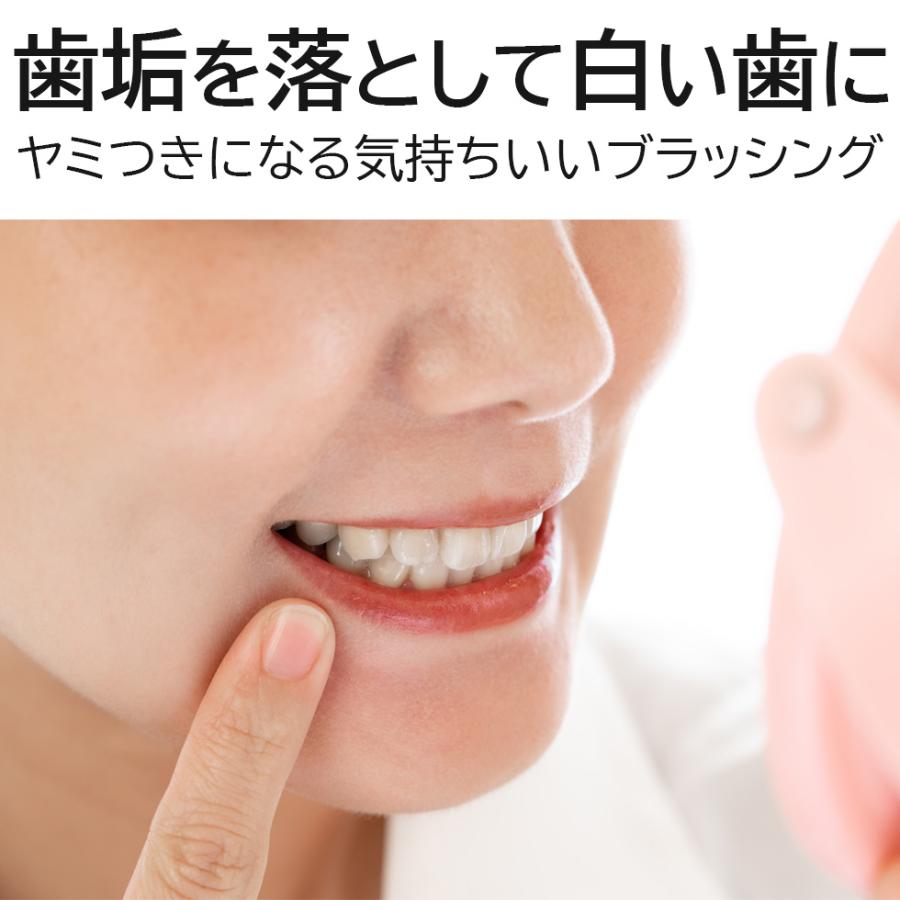 電動歯ブラシ 音波歯ブラシ ホワイトソニック White Sonic ホワイト