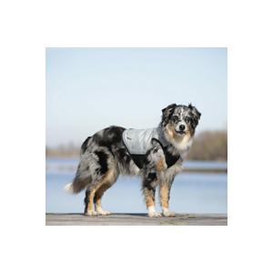 [CANI COOL]カニクール　クールコート L