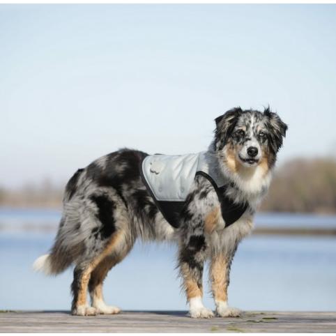 [CANI COOL]カニクール　クールコート L 