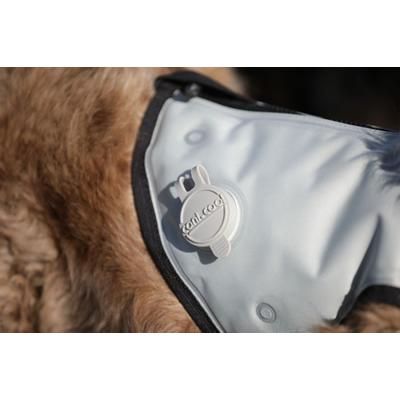 [CANI COOL]カニクール　クールコート L 