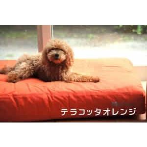 ミヤカラ[MiaCara]ドッグクッション・ルビオ[Luvio]M 