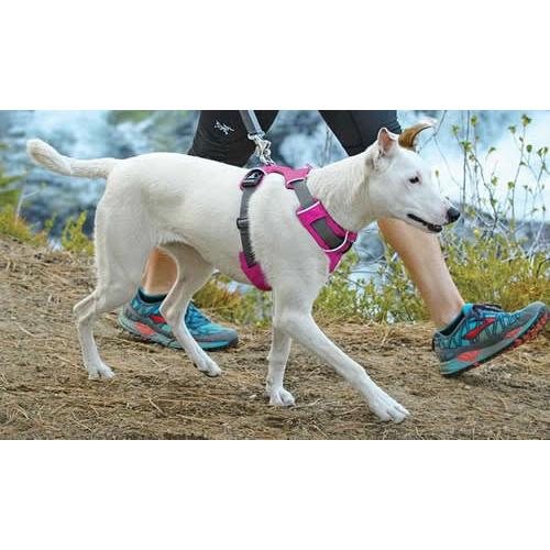 ラフウエア [RUFFWEAR] フロントレンジハーネス S　｜shibainu-goods｜04