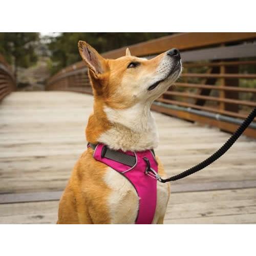 ラフウエア [RUFFWEAR] フロントレンジハーネス S　｜shibainu-goods｜05