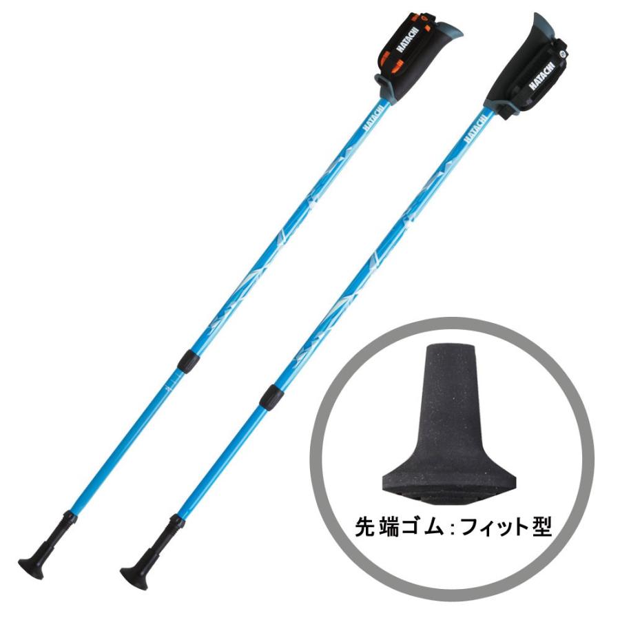 DFPプログレッシブズームノルディックウォーキング用品