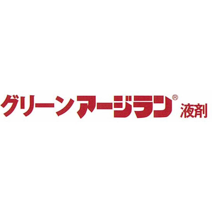 芝用 除草剤 グリーンアージラン液剤 1L 芝生 雑草 対策 スズメノカタビラ メヒシバ ヒメジョオン アレチノギク｜shibakusa｜02