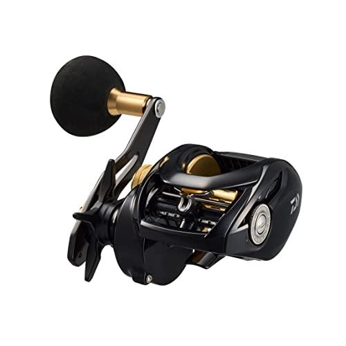 ダイワ(DAIWA) カゴ遠投用両軸リール シーホーク TW 遠投 遠投