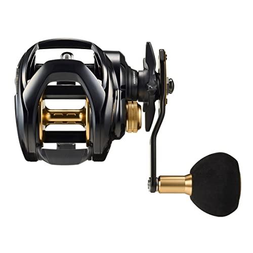 ダイワ(DAIWA) カゴ遠投用両軸リール シーホーク TW 遠投 遠投