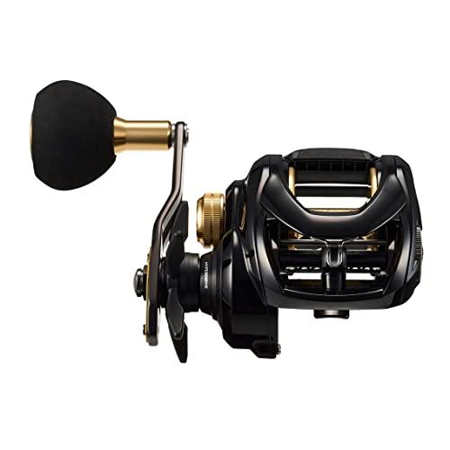 ダイワ(DAIWA) カゴ遠投用両軸リール シーホーク TW 遠投 遠投