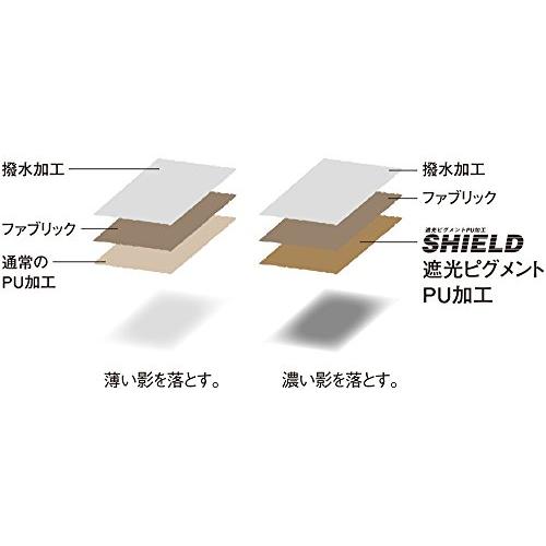 スノーピーク(snow peak) HDタープ シールド ヘキサエヴォ Pro. TP-250R TP 250R 本体 80×20×20 cm