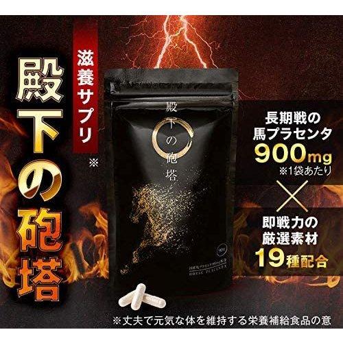 殿下の砲塔 90粒 馬プラセンタ 亜鉛 マカ シトルリン 賞味期限2025.07 