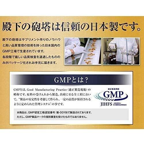 殿下の砲塔 90粒 馬プラセンタ 亜鉛 マカ シトルリン 賞味期限2025.07 
