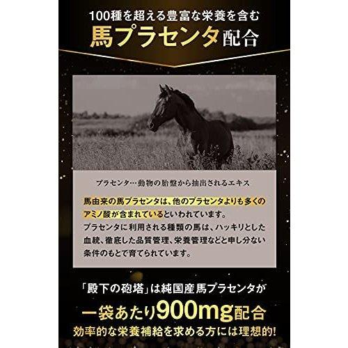 殿下の砲塔 90粒 馬プラセンタ 亜鉛 マカ シトルリン 賞味期限2025.07 