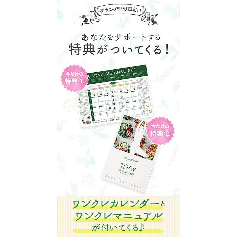 GB 1DAY CLEANSE SET ワンデイクレンズセット ファスティング GB 1DAY CLEANSE SET ワンデイクレンズセット ファスティング