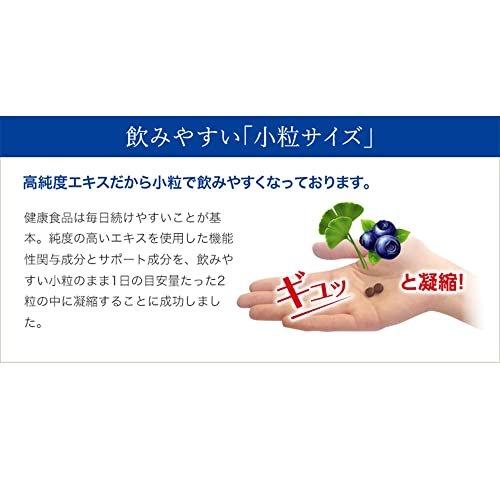 エバーライフ アイノウEX 60粒 アントシアニン ルテイン DHA エバーライフ アイノウEX 60粒 アントシアニン ルテイン DHA