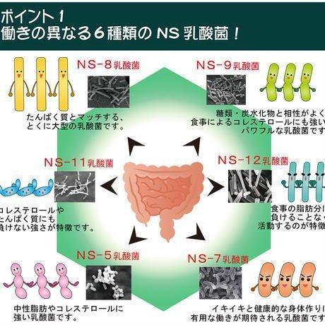 アルタイのNS乳酸菌 60粒 NS-Dx 腸活 乳酸菌 サプリメント