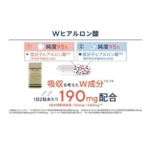 リマドス エイジングリッチ261 60粒 30日分 ヒアルロン酸 美容