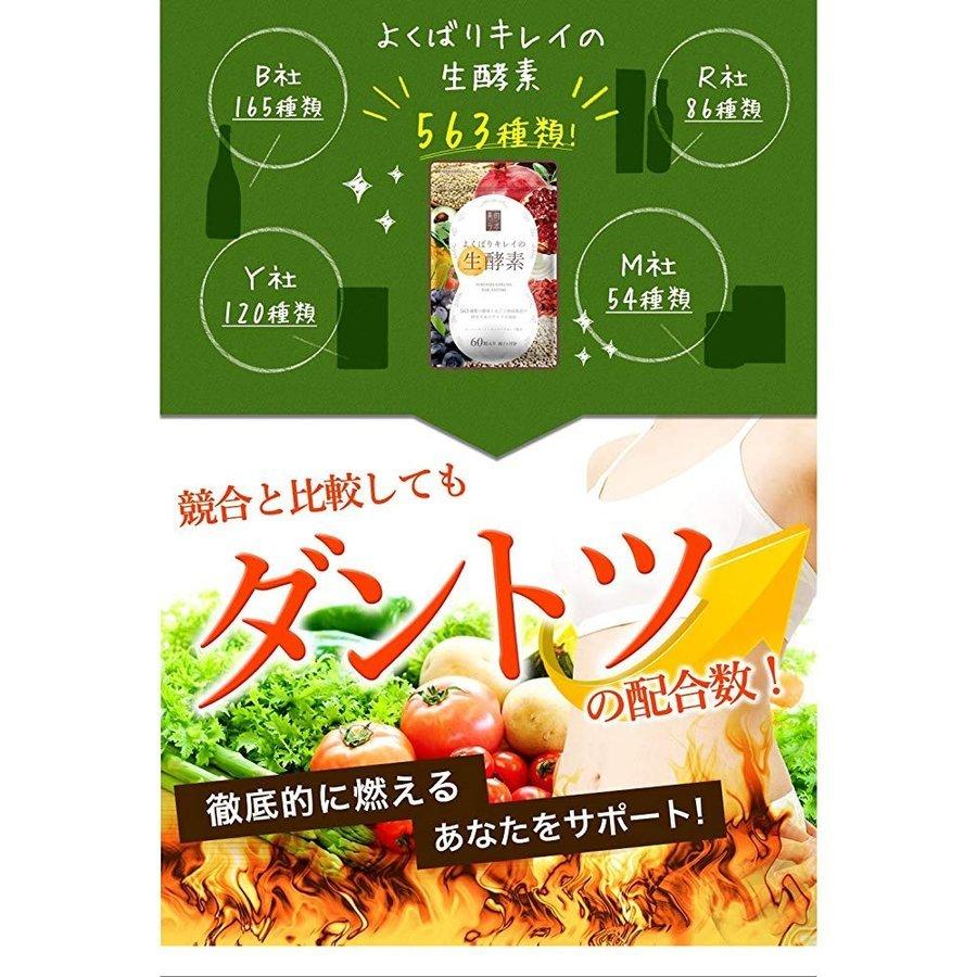 よくばりキレイの生酵素 60粒 乳酸菌 賞味期限2026.07 : スマート