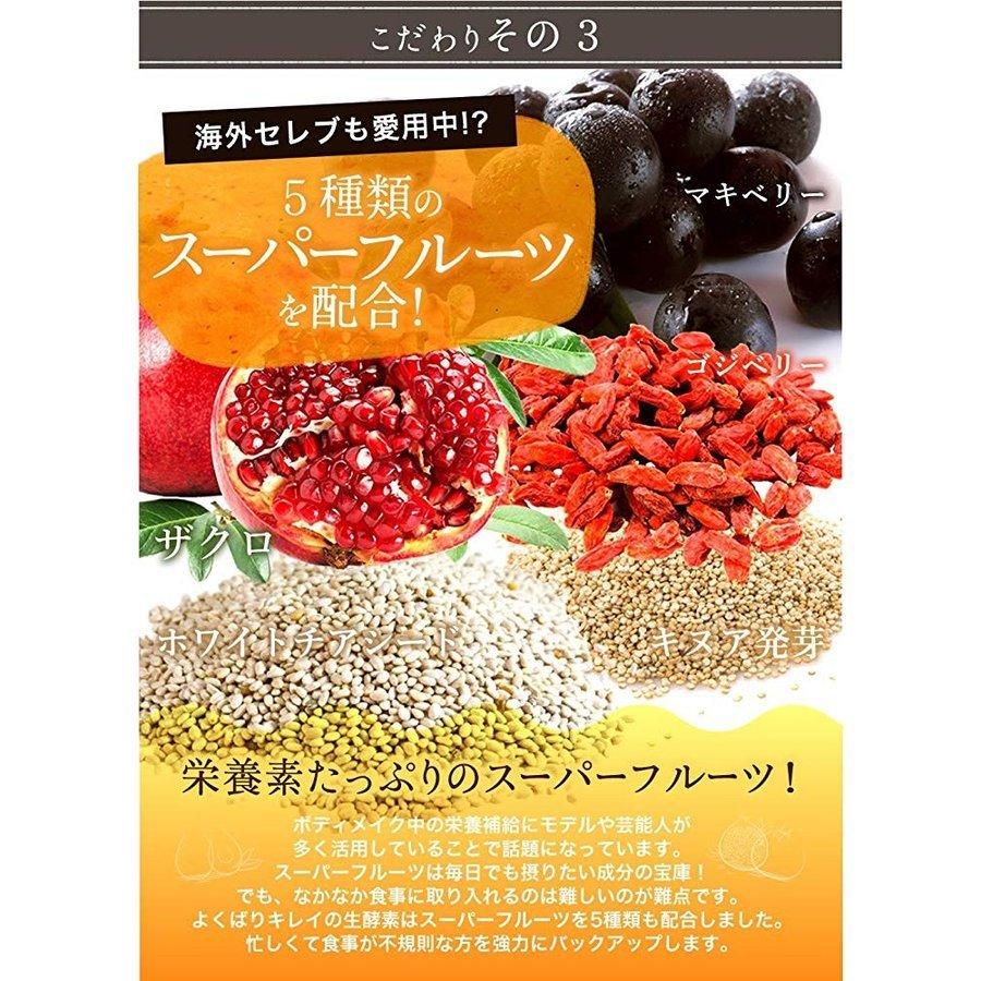 よくばりキレイの生酵素 60粒 乳酸菌 賞味期限2026.07 : スマート
