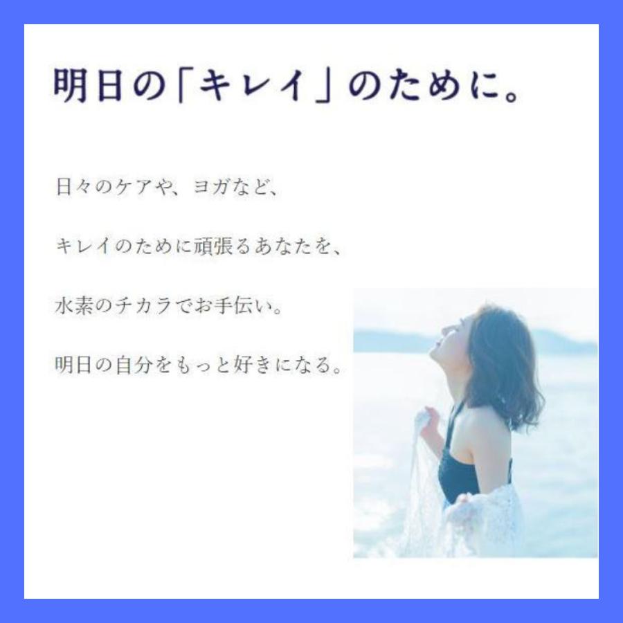 水素美人プレミアム サプリ 90粒 LAVA 水素びじんプレミアム 水素美人プレミアム サプリ 90粒 LAVA 水素びじんプレミアム