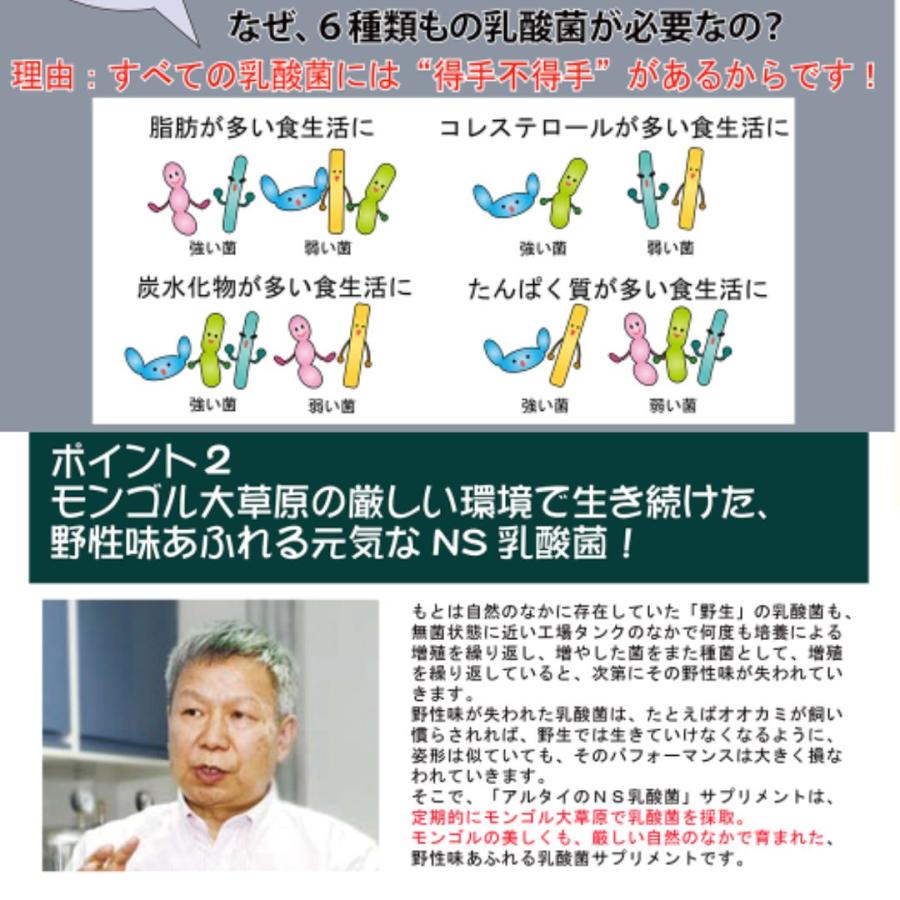アルタイのNS乳酸菌 2袋 NS-Dx 腸活 乳酸菌 サプリメント : スマート