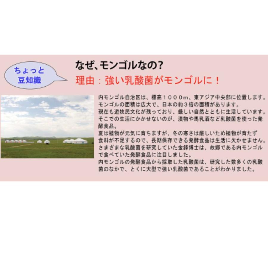 アルタイのNS乳酸菌 2袋 NS-Dx 腸活 乳酸菌 サプリメント : スマート