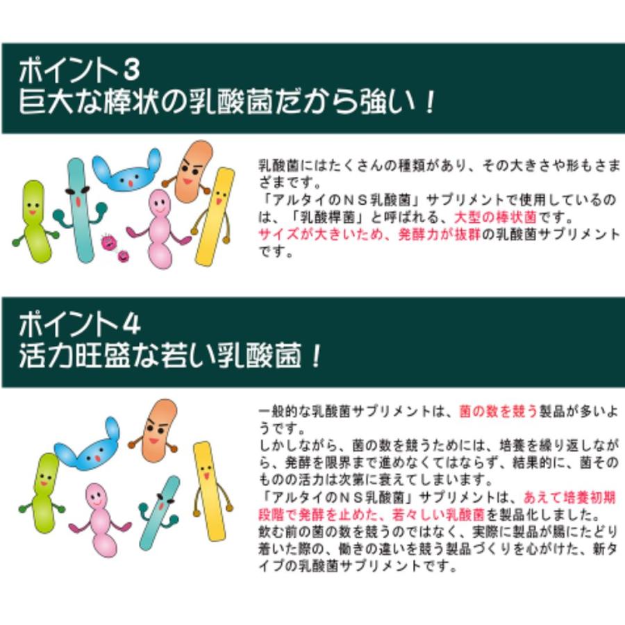 アルタイのNS乳酸菌　２袋セット　健康補助食品 アルタイのNS乳酸菌 2袋 NS-Dx 腸活 乳酸菌 サプリメント : スマート
